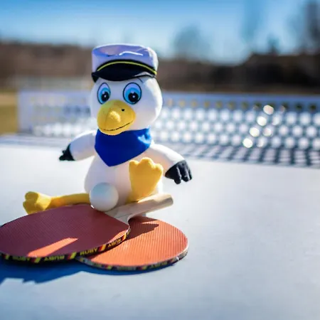 Lagovida Moewenblick D Am Stoermthaler