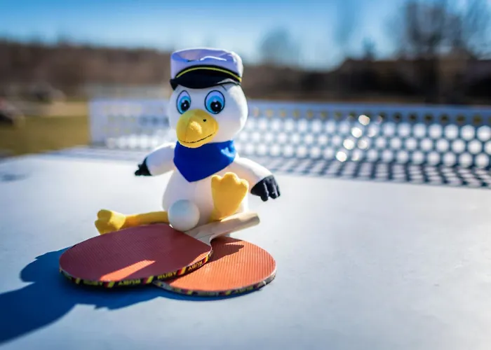 Lagovida Moewenblick D Am Stoermthaler